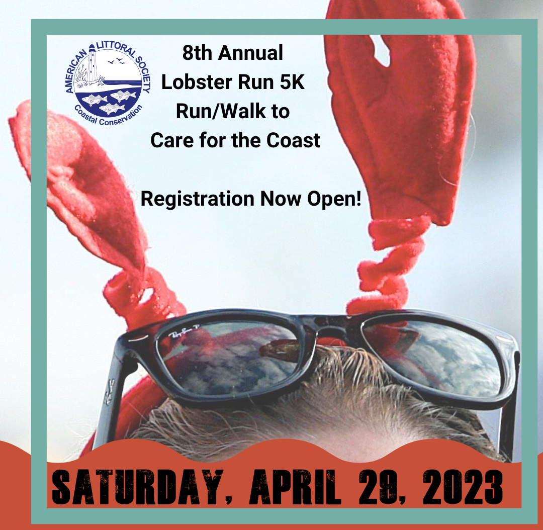 The Lobster Run 5K is on Saturday, April 29 The Link News