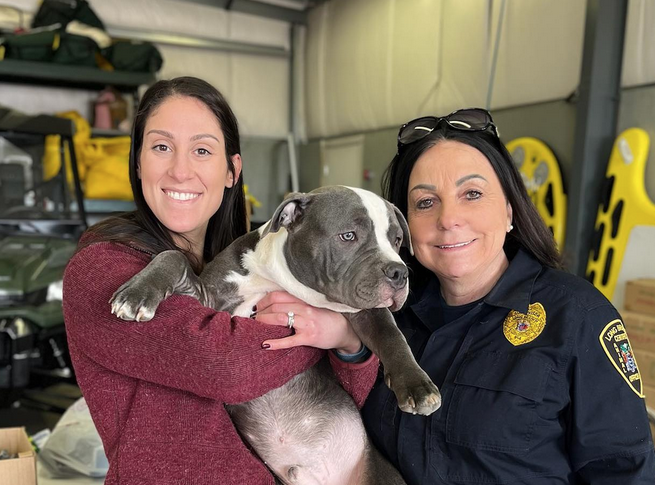 Meet Bucco, The Pirates First Ever Team Dog